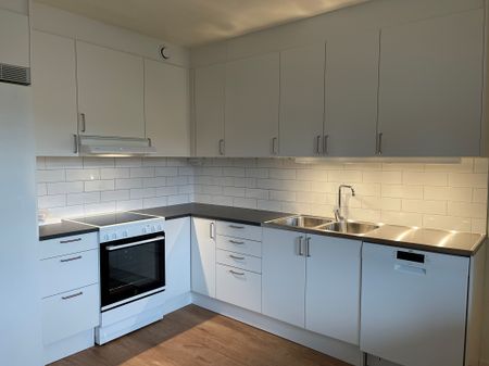 Vikingagatan, Gnosjö - Foto 4