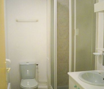 Location Appartement 1 pièce 19m² CLERMONT FERRAND 63000 - Photo 1