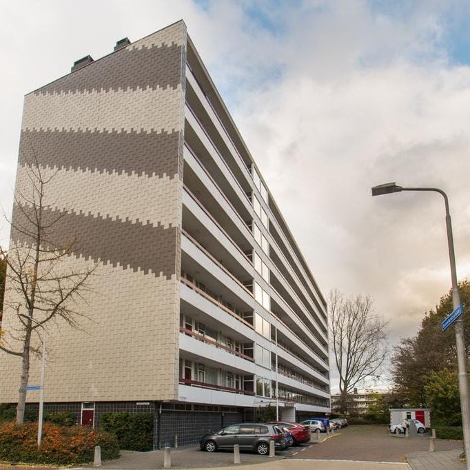 Appartement te huur: Duivelandselaan 75 1181 JT Amstelveen - Foto 1
