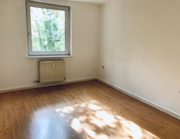 Ruhige EG Wohnung, Mittestadt, Arndtstraße in Hagen, 52qm - Photo 1