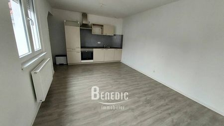Appartement T2 - Quartier Neunkirch - SARREGUEMINES - Photo 4