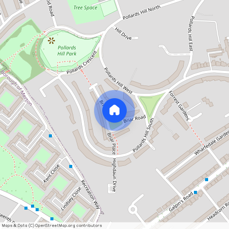 Briar Road, London SW16