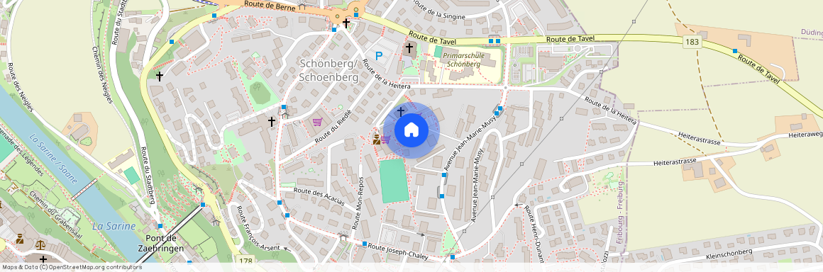 Avenue Jean-Marie Musy 13, 1700, Fribourg