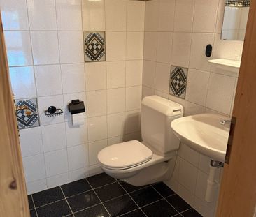 Grosszügige 215 m² Wohnung mit Sauna, Galerie und grosser Terrasse - Photo 3