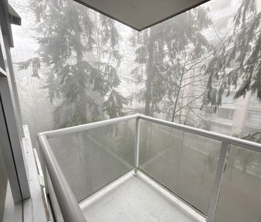 Spacious and Bright Two Bedroom Home in Serene Burnaby Mountain By SFU - Photo 6