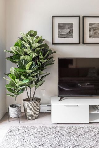 Cedar Green Apartments - Photo 2