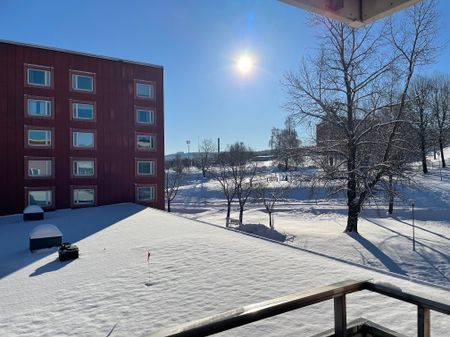 Axvägen, Sundsvall - Foto 3