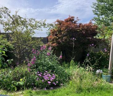 Lovely, quiet furnished double room overlooking back garden. - Photo 5