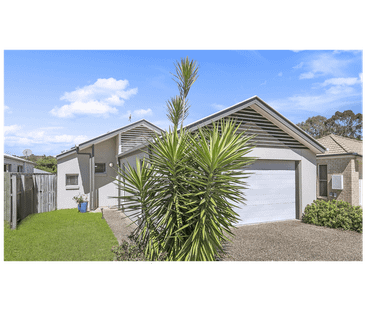 74 Thynne Ave, Norman Park, Qld 4170 - Photo 2