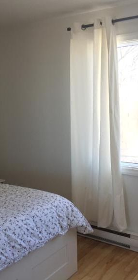 5 1/2 - Montréal (Hochelaga / Maisonneuve) - 1 660 $/mois - Photo 1