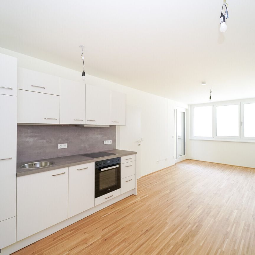 2-Zimmer-Dachgeschoßwohnung mit Terrasse -Erstbezug - zu mieten in 1020 Wien - Foto 1