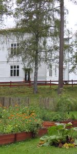 Gamla Vängavägen, Fristad - Foto 3