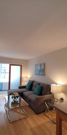 Furnished Beautiful 1 Bed + Den(2nd bedroom) apartment for rent - Photo 1