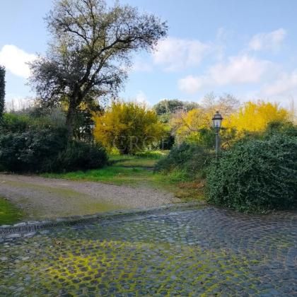 Appia Antica: charming 1 Bedroom furnished flat, recently renovated, immersed in 2 hectares of countryside. Liiving room, small kitchen, bedroom, bathroom, AC, parking space. Located in the archeological site of Via Appia Antica #2324 - Photo 5