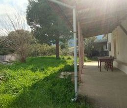 Μονοκατοικία για ενοικίαση - Λιβαδειά, - Photo 6
