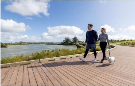 43 Rorotu Ave, Karaka - Photo 5