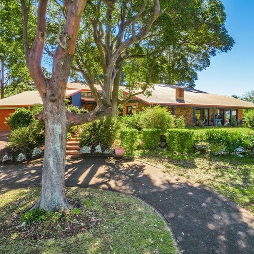 226 Invercauld Road, Goonellabah NSW 2480 - House For Rent | Domain - Photo 1
