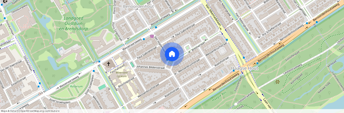 Van Hoytemastraat en omgeving, 2596 EN, Van Hoytemastraat, Den Haag