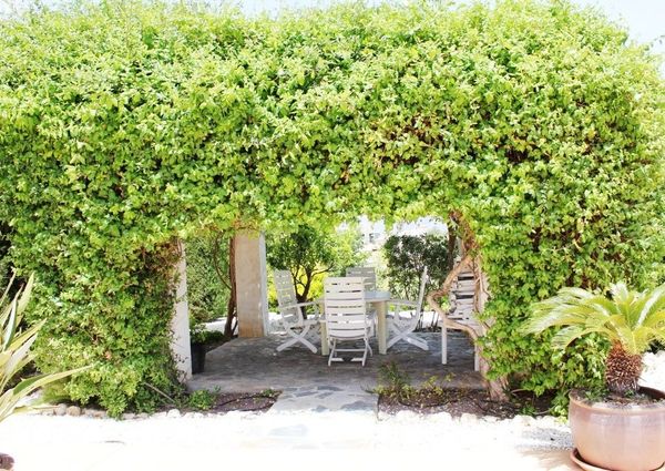 LONG TERM RENTAL. Spacious 8 bedroom villa for rent with sea views