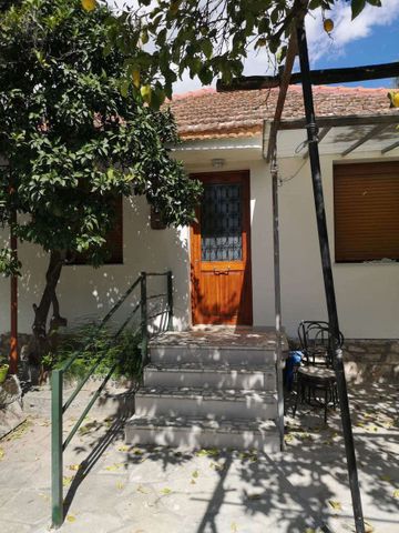 Μονοκατοικία για ενοικίαση - Αγριά, - Photo 3