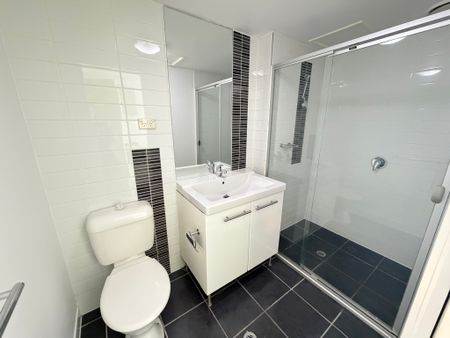 102/313 Waverley Road, Malvern East VIC 3145 - Studio For Rent | Domain - Photo 4