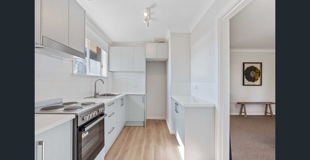 Perfectly Positioned Unit - Photo 1