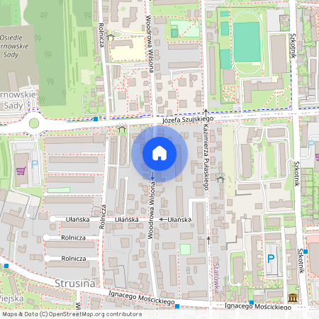 Woodrowa Wilsona, Strusina, województwo małopolskie, Osiedle Wiejska, 33-110, Tarnów