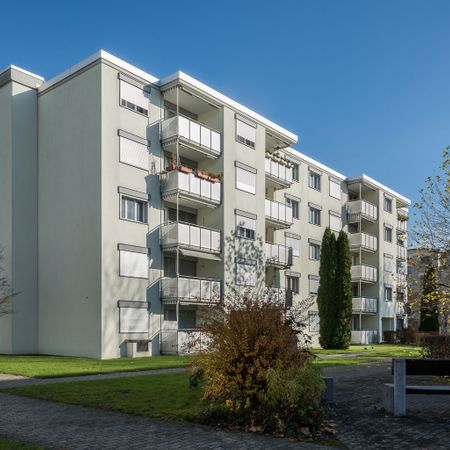 Schöne Wohnung in Bremgarten - Foto 3