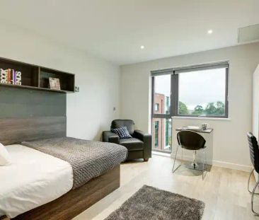 Premium Plus Studio - Photo 4