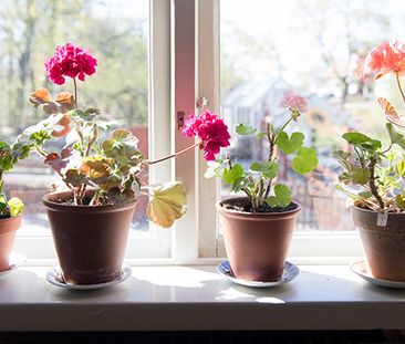 Kinnekullegatan, Skara - Foto 1