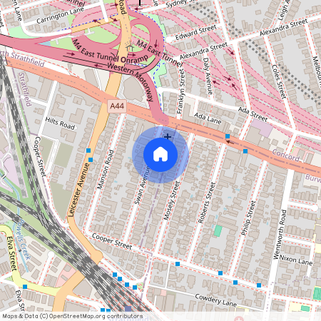 31 Swan Avenue, NSW 2135, Strathfield