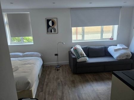 Studio Flat, Astral House, SW16 - Photo 4