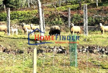 Moradia T3 em Viana do Castelo