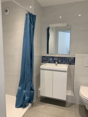 Location Appartement 1 pièce 19m² SARREGUEMINES 57200 - Photo 4