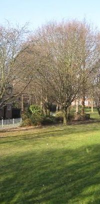 Nordring 8, 50354 Hürth OT Mitte - Foto 2