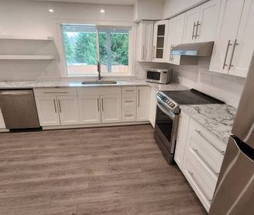 Beautifully Renovated 2 bedroom, 1 bath Lower Suite - Photo 2