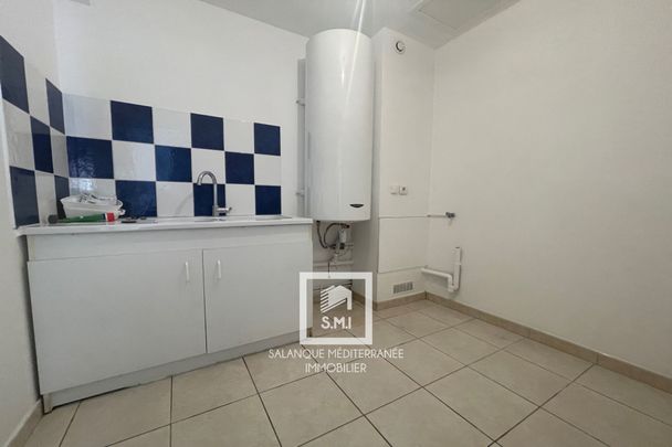 Location Maison 4 pièces 83m² BOMPAS 66430 - Photo 1