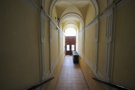 Liliom street - Photo 4