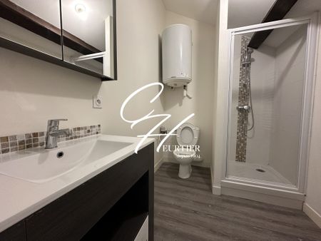 GRENOBLE - Appartement T1bis - Dernier étage - Photo 4