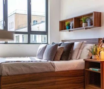 Extra Large Studio - Photo 5