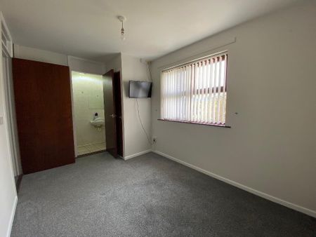 33 Burrenwood Road, Castlewellan, BT31 9DR - Photo 5