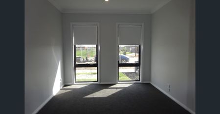 Great Family Home - The Woods Estate - Photo 3