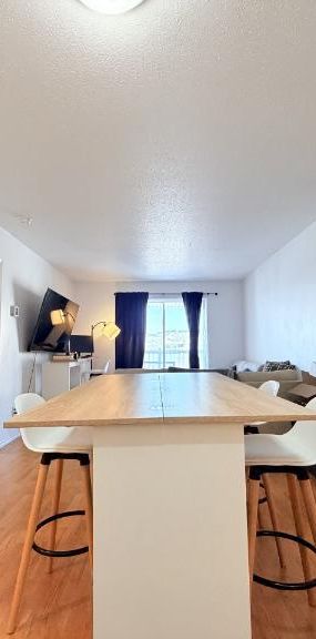 Appartement 3 ½ à louer Sainte-Foy / Sillery juillet 2026 - Photo 1