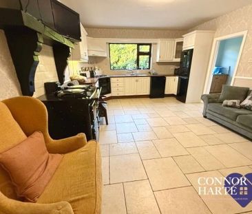 230 Barony Road, Creggan, Omagh, BT79 9AQ - Photo 5