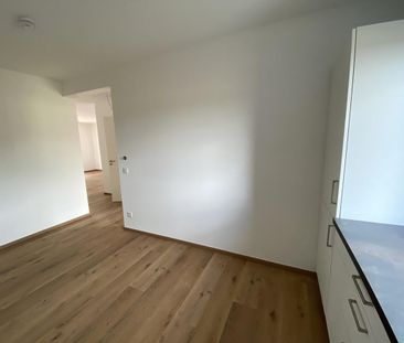 Hier ist das Glück zu Hause! Letzten zwei 2-Zimmer-Wohnungen in SC-Wolkersdorf zur Miete! - Foto 4