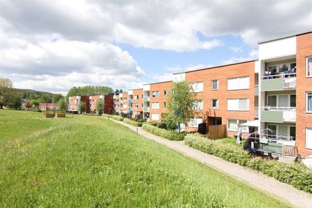 Dirigentvägen 64 - Foto 2
