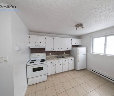 4135-4140 de Gros-Pin - Photo 5