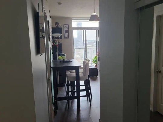 Toronto Furnished Condo for Rent - Luxurious 1 Bed, 1 Bath with South Facing Balcony, Water Views, and Air Conditioning - Photo 1