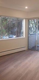 Fully Updated, Modernized Airy 2 br. #3 - Photo 1