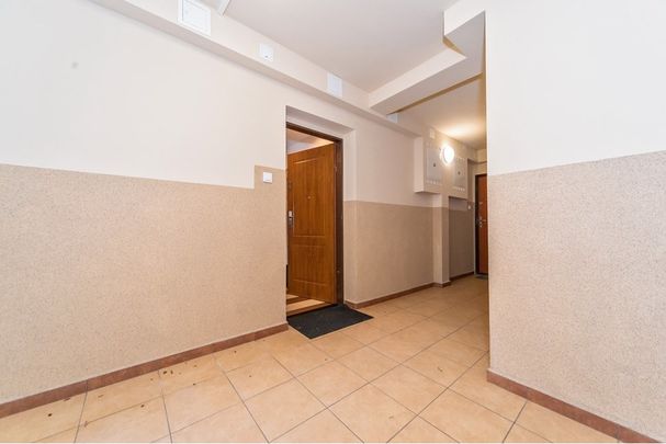 Mieszkanie 2-pokojowe na wynajem - Zdjęcie 1